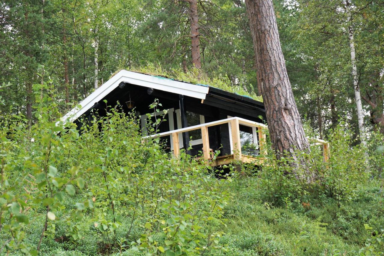 Bed and Breakfast Birk Bed & Birds Svanvik Екстер'єр фото