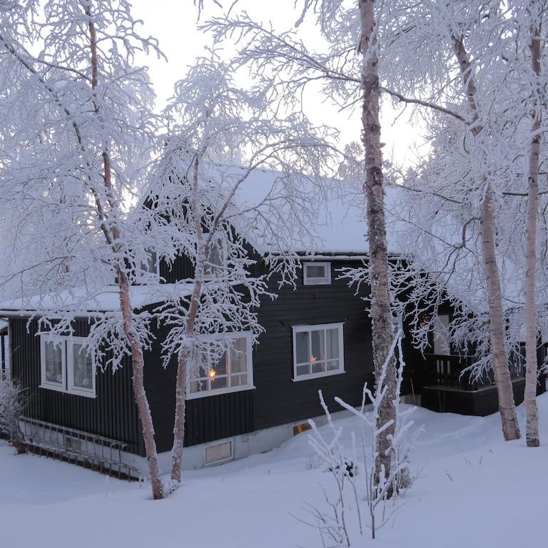 Bed and Breakfast Birk Bed & Birds Svanvik Екстер'єр фото