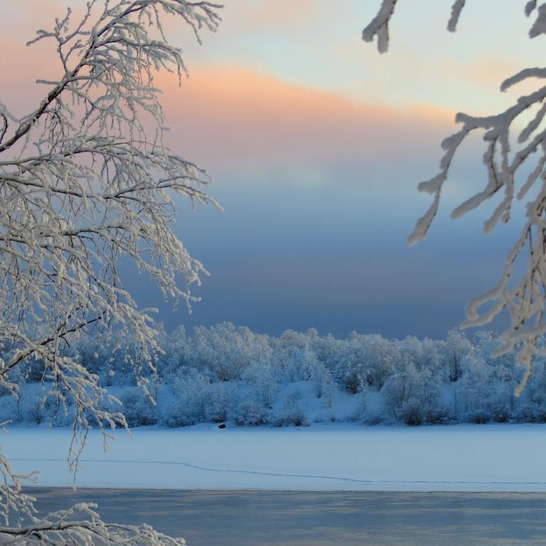 Bed and Breakfast Birk Bed & Birds Svanvik Номер фото