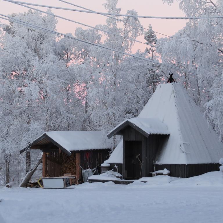 Bed and Breakfast Birk Bed & Birds Svanvik Екстер'єр фото