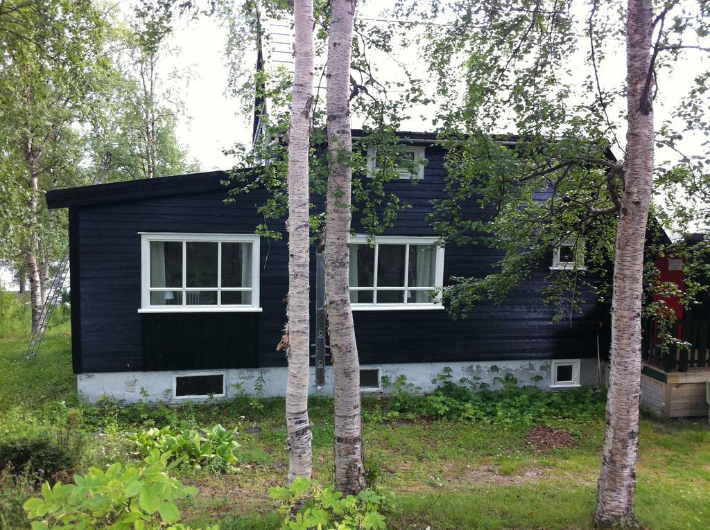 Bed and Breakfast Birk Bed & Birds Svanvik Екстер'єр фото